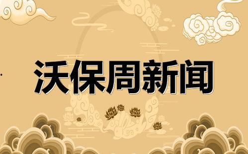 保险新闻最新爆料大全