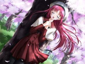 日本樱花动漫排,绽放的青春记忆与梦想之旅